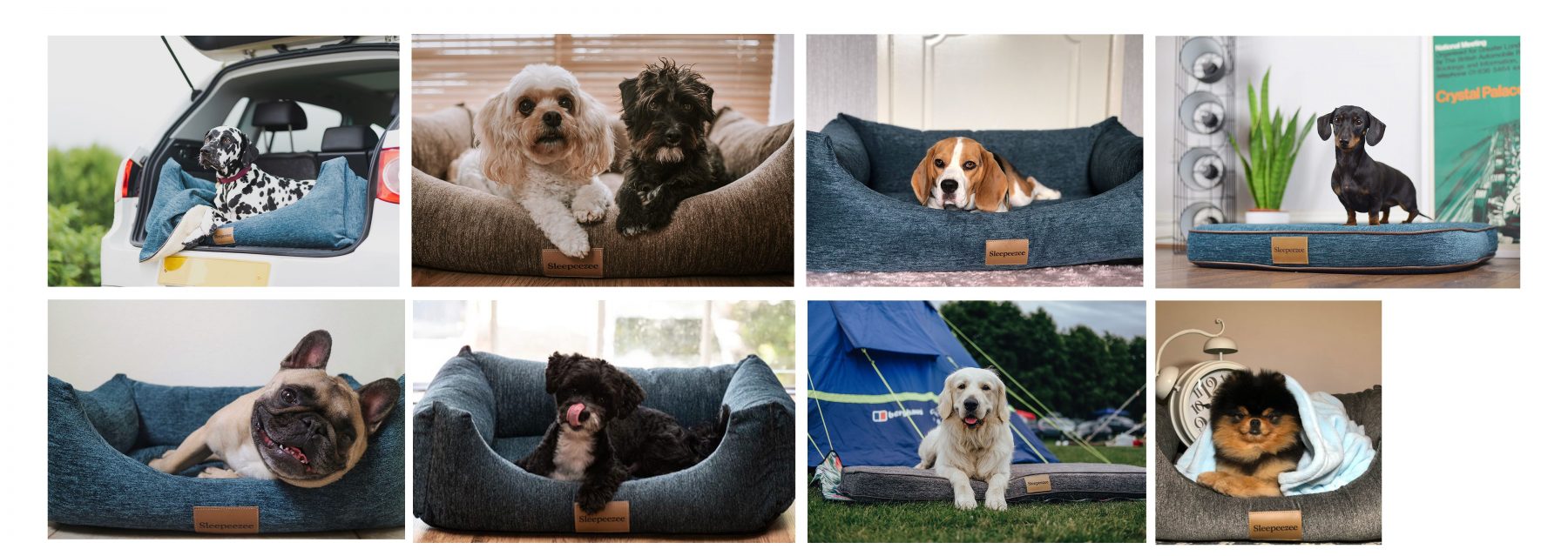 Collage of dogs in Sleepeezee Dog Beds