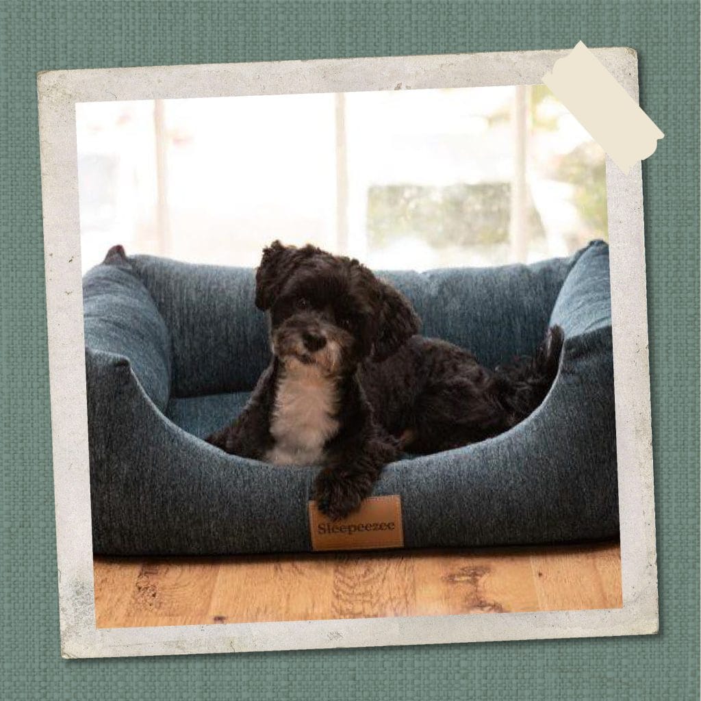 Basket Bed Cover