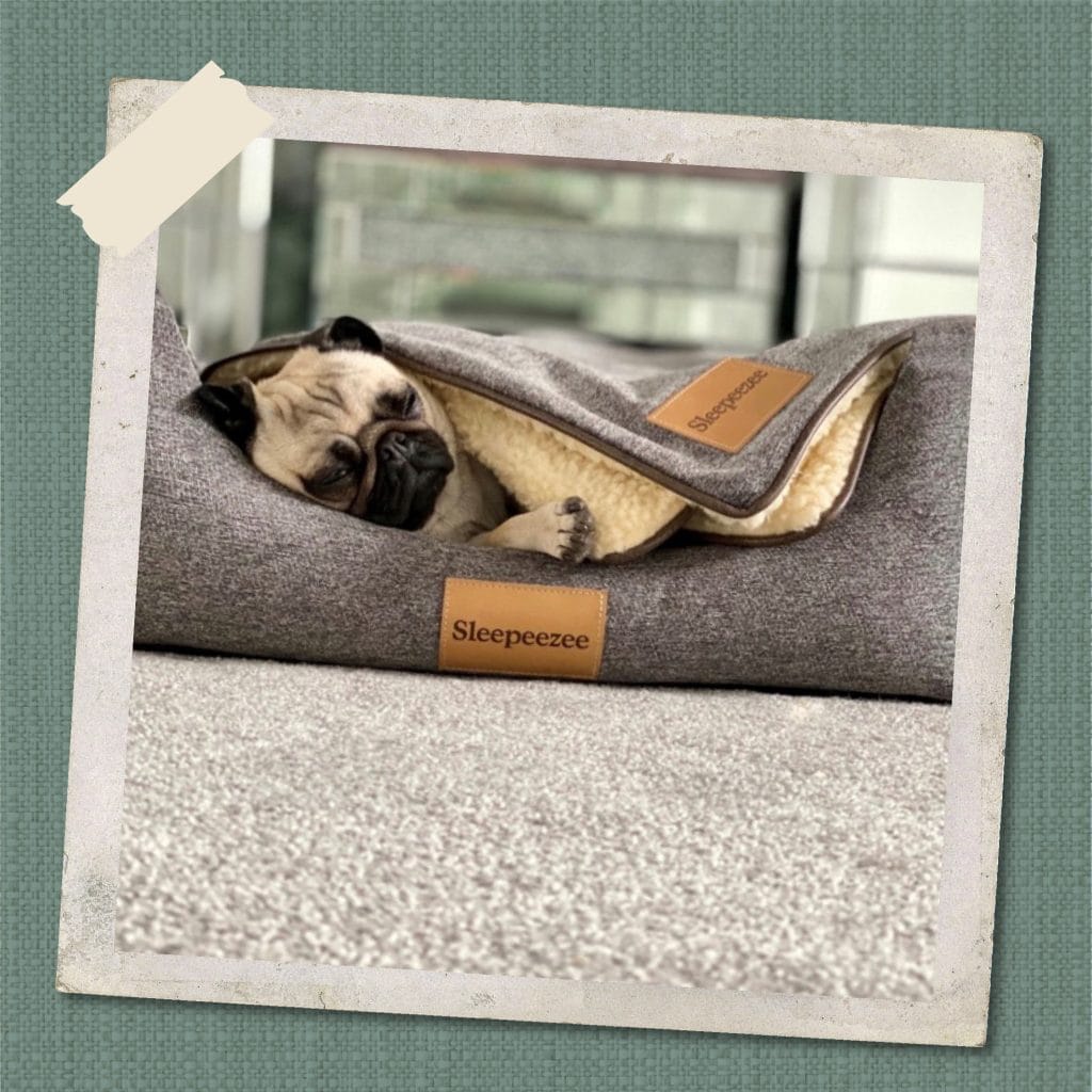 Basket Bed Cover