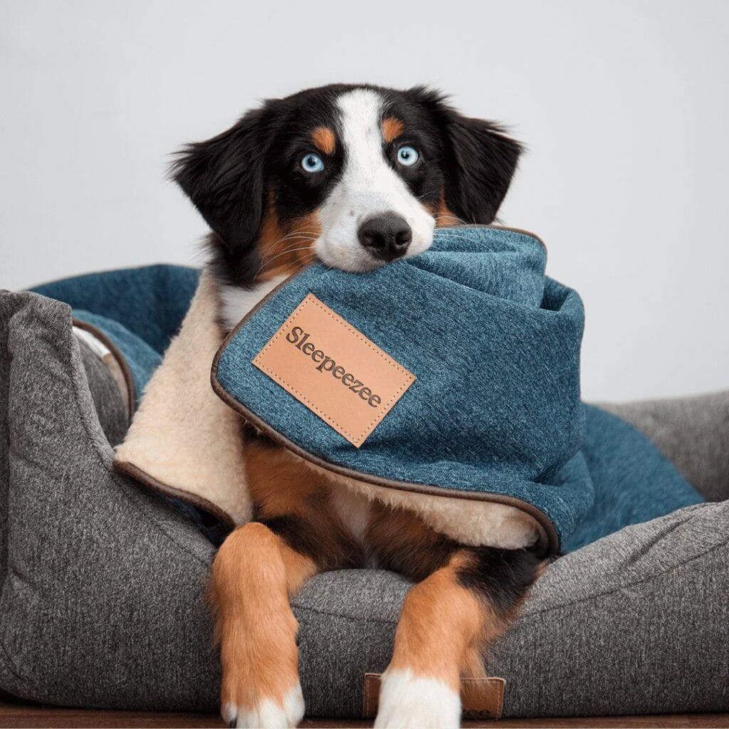 Pet Blanket