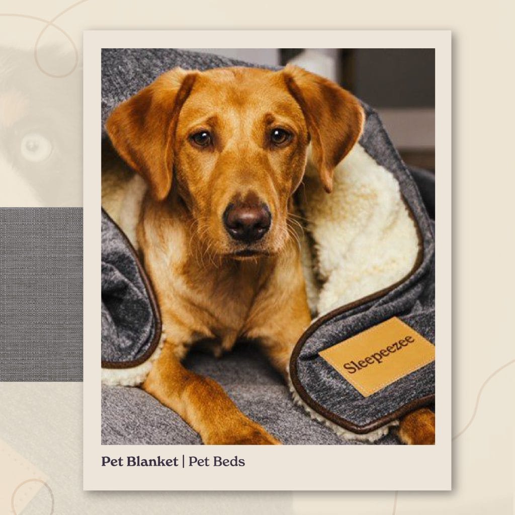 Pet Blanket