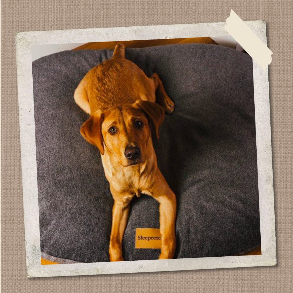 Pillow Bed Cover